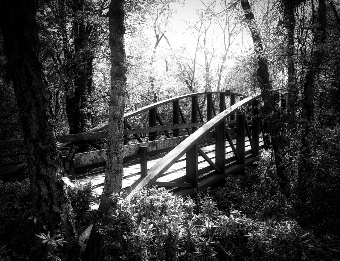 B&amp;W Bridge